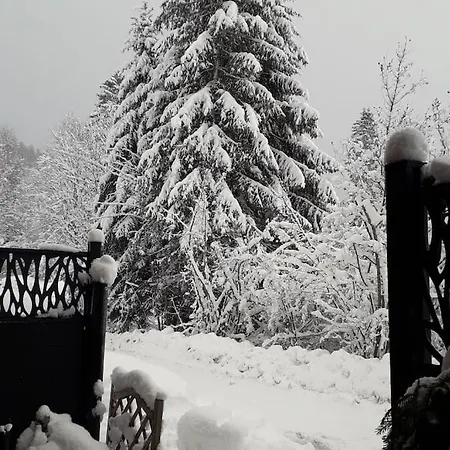 Les Marmottes Gérardmer